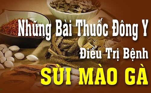 Thuốc chữa sùi mào gà bằng đông y